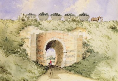 De Grand Surrey Iron Railway door George Buchanan Wollaston